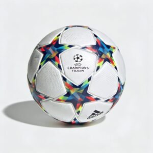 2023/2024 UEFA Champions League Final (London)