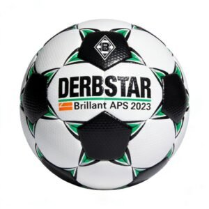 2023/2024 Bundesliga