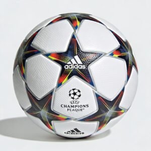 2024/2025 UEFA Champions League