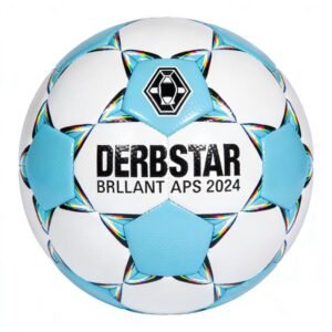 2024/2025 Bundesliga