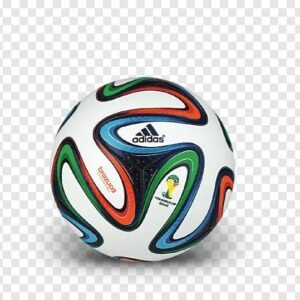 2014 FIFA World Cup (Brazil)