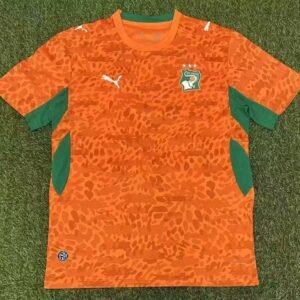 2026 Ivory Coast National Home Football Jersey 1:1