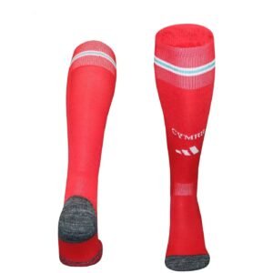 2026 Wales Home Football Socks 1:1 Quality
