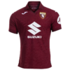 2025/2026 Torino Home Football Jersey 1:1 Thai Quality