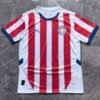 2024 Paraguay National Team Home Football Jersey 1:1