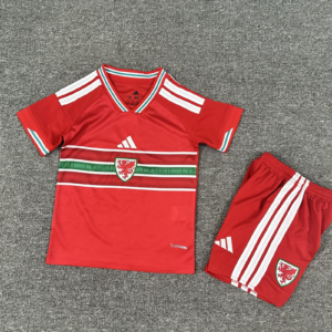 2026 Wales National Team Home Football Shirt 1:1 Quality Kids Size