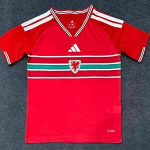 2026 Wales Home Football Shirt 1:1 Thai Quality