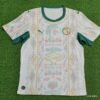 2026 Senegal National Team Home Football Shirt 1:1 Thai Quality